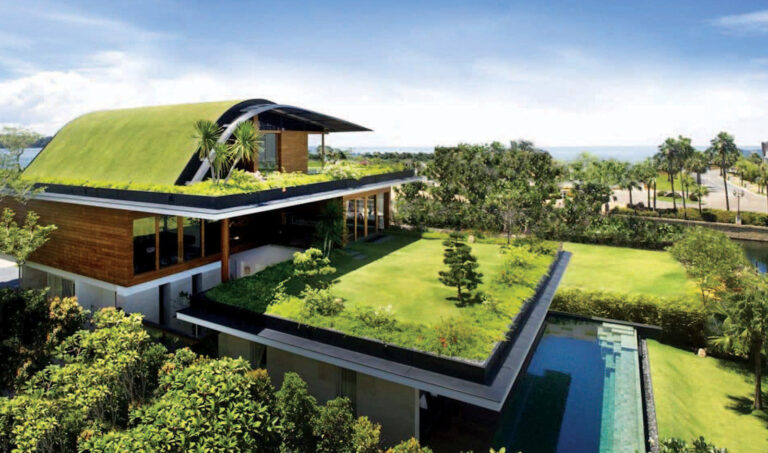 Green Roofing Materials for Homes: A Sustainable Choice