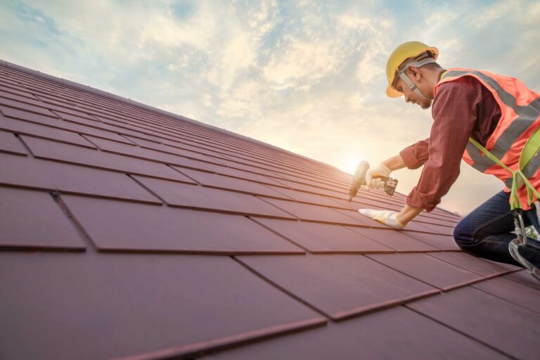 Local Roofing Contractor: Your Guide to Roof Care